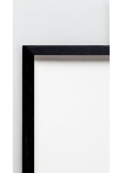 Tanıtım Premium Masif Çam Çerçeve - 3mm Mdf Arkalık - 500 Mikron Kırılmaz Şeffaf Pvc Ön Koruma - Şık ve Dayanıklı Duvar Ahşap Çerçevesi (Siyah, 21CM x 30CM) fiyatları