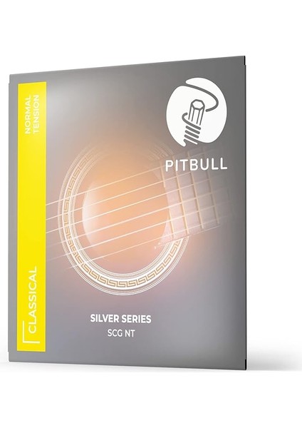Klasik Gitar Teli Silver Seri Normal Tansiyon Set Scg Nt