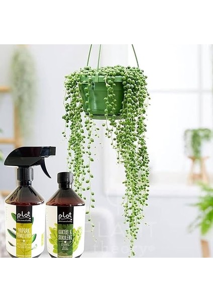 Bitki Bakım Seti: Kaktüs Sukulent Besini + Yeşil Yapraklı Bitki Besini + Yaprak Temizleyici fiyatları