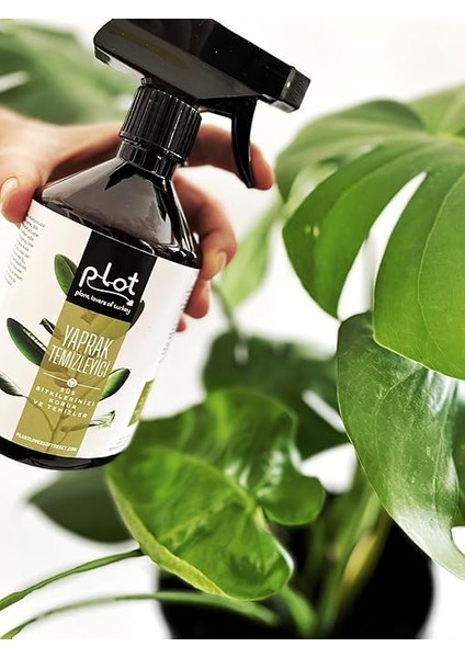 Bitki Bakım Seti: Kaktüs Sukulent Besini + Yeşil Yapraklı Bitki Besini + Yaprak Temizleyici indirimleri