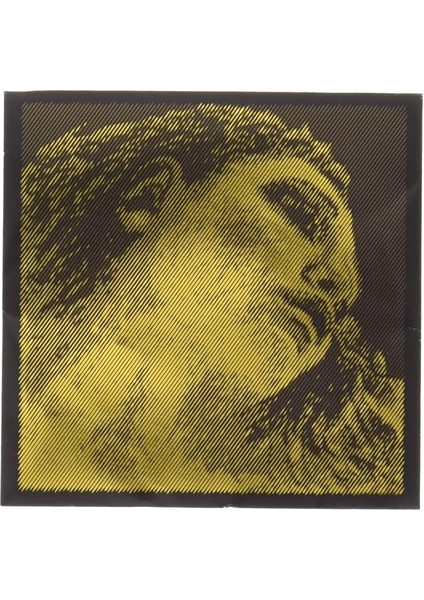 Evah Pirazzi Gold E ( Mi ) Tek Keman Teli 315421