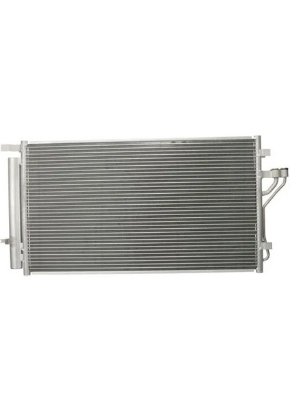 1986AD2050 Klima Radyatoru 976062Y500 976062Y501