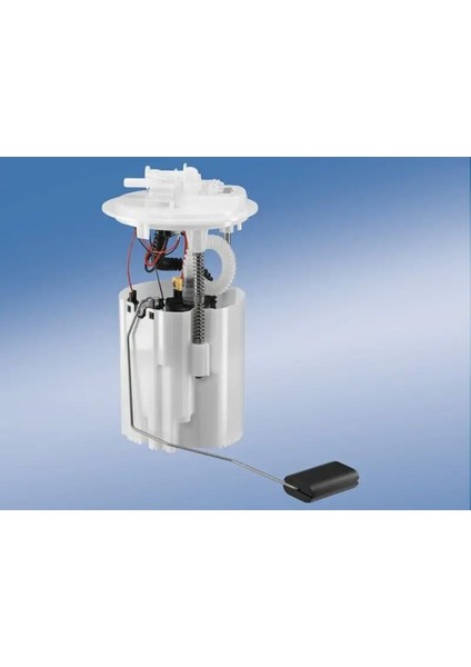 0580203119 Yakit Depo Samandirasi 2053148 F1F19H307AA F1F19H307AB