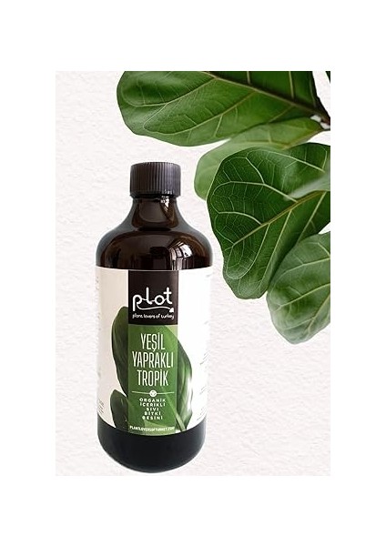 Bakım Seti: Yeşil Yapraklı Bitkiler Için Sıvı Besin + Yaprak Temizleyici &amp; Koruyucu indirimleri