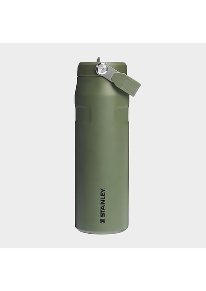 Iceflow Bootle Flip Straw 2.0 0.7l/ 24OZ Dried Pine fiyatları