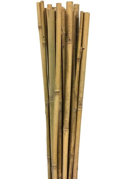 163702 Bambu Destek Çubuğu 10'lu - 6-8 mm x 60 cm