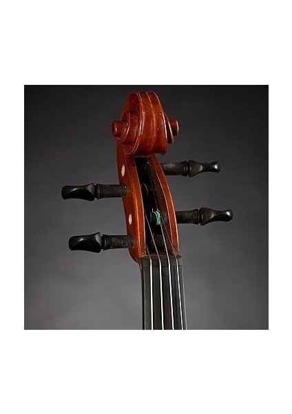 V5SC Keman (4/4) fırsatları