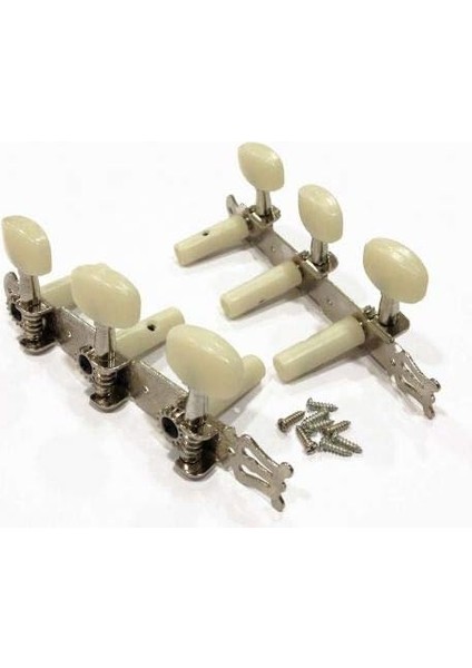 Raymond Cgtg Gitar Aksesuar Klasik Burgu Takımı