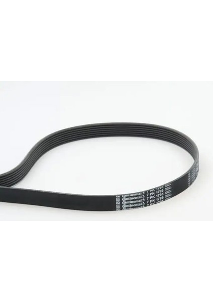 7PK1795 Kayis 1172000Q1V 1172000Q5L 1172000QAZ