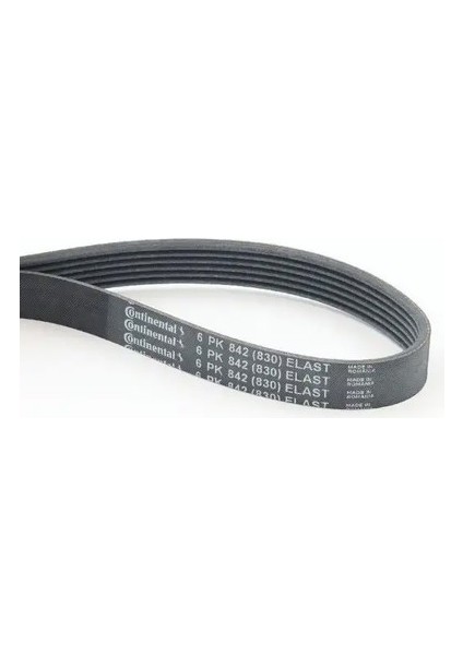 6PK842ELAST Kayis 03L903137B