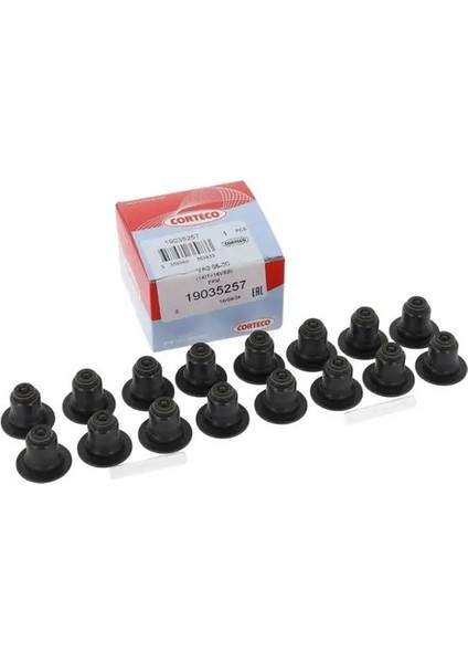 19035257 Supap Lastigi 095660 11340033950