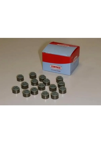 19036035 Supap Lastigi 13207CJ40A 13207ED000