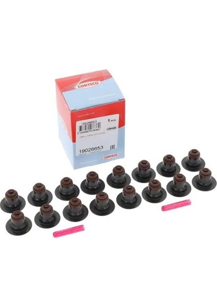 19026653 Supap Lastigi 11340029571