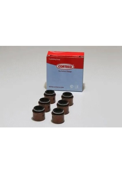 19036054 Supap Lastigi 9004812006