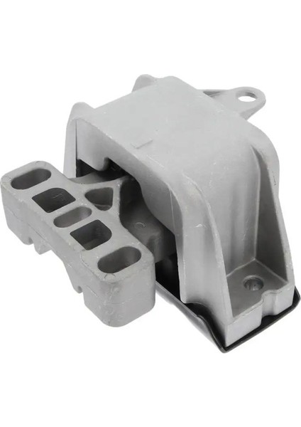 21652821 Sanziman Takozu 1J0199555AC 1J0199555AJ