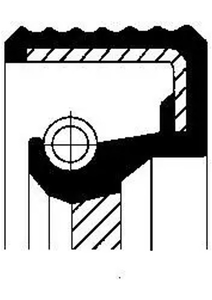 12017070B (82017070) Sanziman Kecesi 82017070