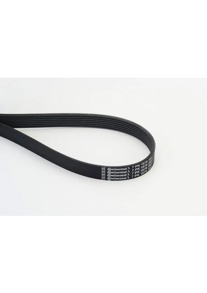 7PK1970 Kayis 1172000Q0E 1172000Q1E 1172000Q7B