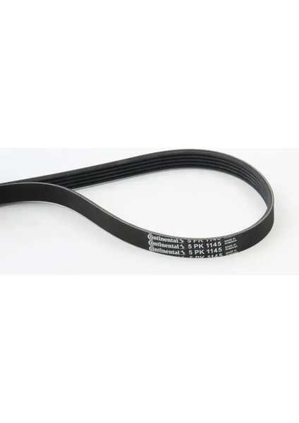 5PK1145 Kayis 1005130 1017592 1039799