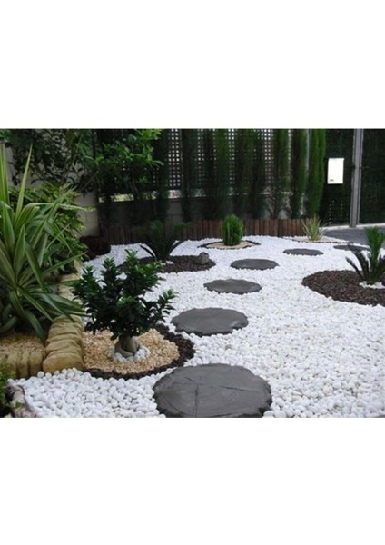 Dolomit Taş 10 kg 6-10 cm Beyaz Dolomit Taş Saksı Dibi Dekoratif Taş Bahçe Süsleme Taşı Peyzaj Taşı indirimleri