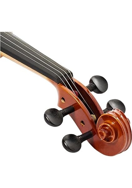 V5SA Keman (4/4) fırsatları