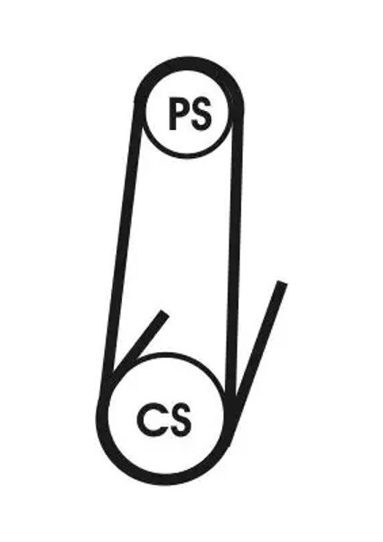 4PK711ELAST (4PK711) Kayis 03L119137 1353946 4PK711