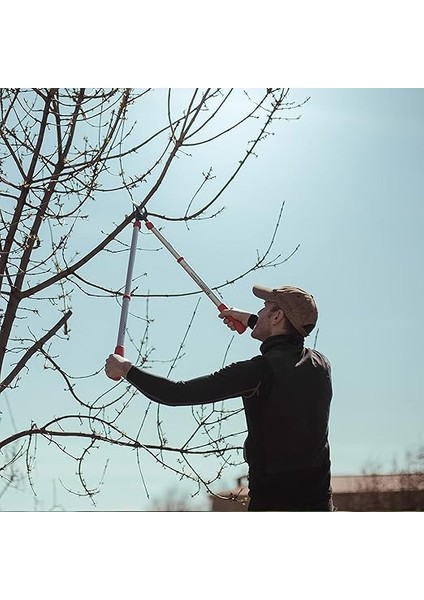 0390T Kalın Dal Budama Makası, 700 mm Komple Uzunluk, By Pass Sistem, 32 mm Dal Kesme Çapı fiyatları