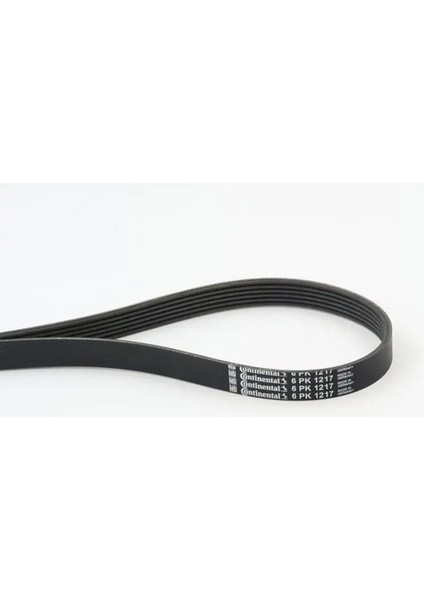 6PK1217 Kayis 117204171R 11720CK90A 1231960