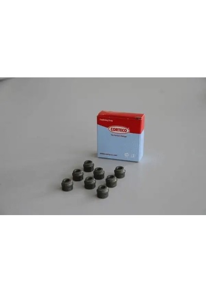 19036114 Supap Lastigi 274344