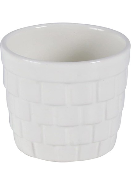 Kaktüs Seramik Saksı 3'lü Krem