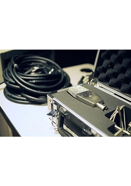 Electronics T2 Titanyum Kapsüllü Geniş Diyaframlı Condenser Mikrofon fiyatları