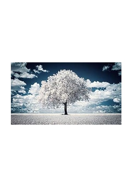 Foto Tianya Ir Infrared Kızılötesi 720NM Filtre (67MM) fiyatları