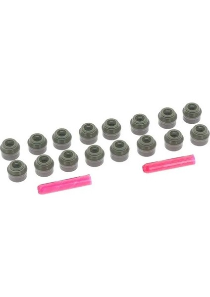 19026849 Supap Lastigi 036109675 036109675A 057109675