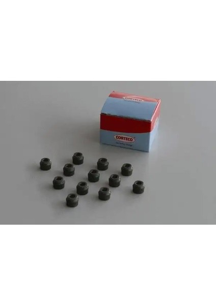 19036013 Supap Lastigi 095624 095628 098628