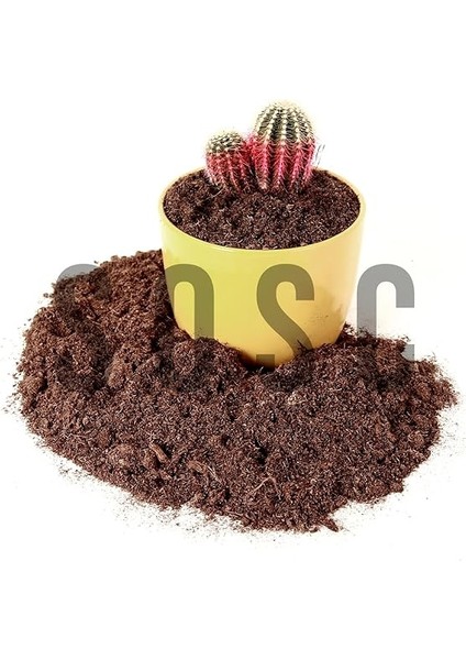 Sphagnum Bitki Yetiştirme Torfu - Böcek Sinek Yapmaz Premium Kalite 5 Lt modelleri