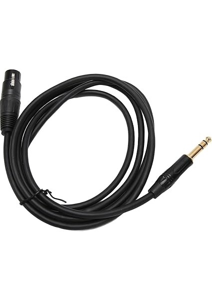 Xlr Dişi - 1/4 Inç Kablo, Ağır Hizmet 3pin Xlr - 6.35MM Fiş Stüdyo ve Canlı Performans, Dengeli Ara Bağlantı Kablosu (#2) modelleri