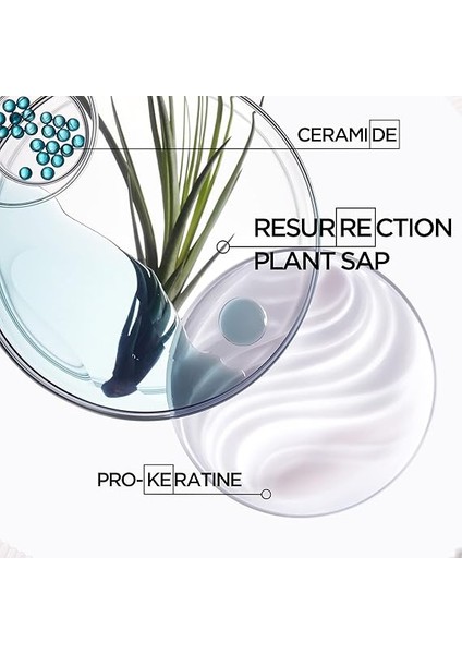 Resistance Bain De Force Architecte Yıpranmış Saçlar Için Kuvvet Banyosu indirimleri