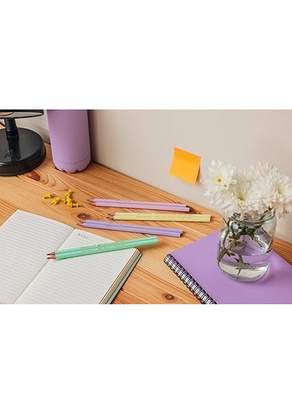 Evolution Pastel Kurşun Kalem, 12'li Kutu, Kıymık Oluşturmaz, Çiğnemeye Karşı Dayanıklı, Kolay Açılır indirimleri