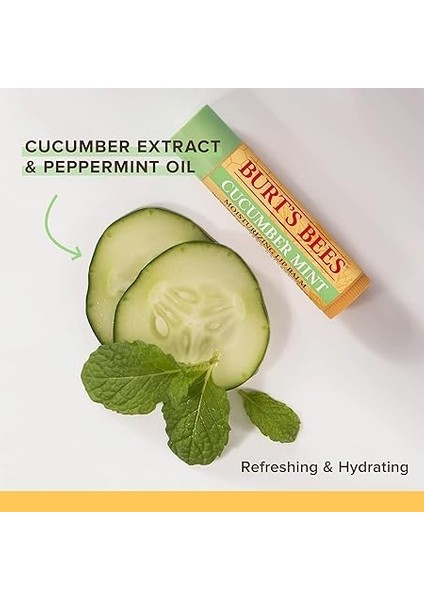 Bees Salatalık NANELI%100 Doğal Nemlendirici Dudak Balsamı, 0,15 Oz indirimleri