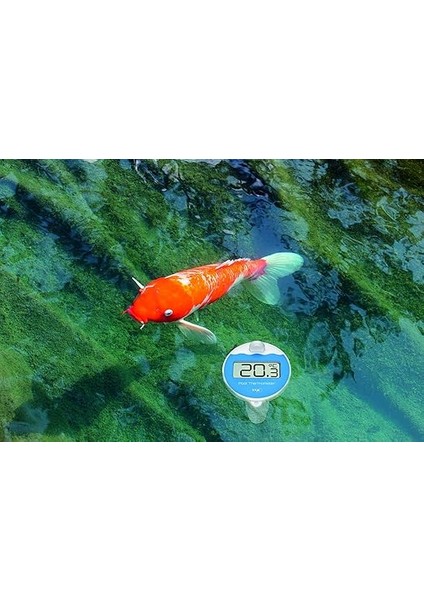 Dostmann Marbella Kablosuz Havuz Termometresi, 30.3066.01, Yüzen, Dijital, Su Sıcaklığı, Siyah fırsatları