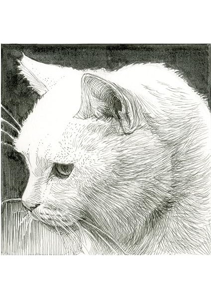 Pıgma Mıcron 05 Siyah 0,45 mm fiyatları