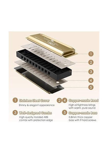 Diatonik Blues Mızıka, C Blues Harp Mızıka, 10 Delikli, Koruyucu Kılıflı, Standart Mızıka, Yetişkinler, Profesyoneller, Yeni Başlayanlar ve Öğrenciler Için Hediye (Altın) indirimleri
