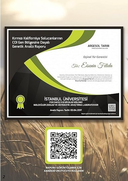 Tarım 500 Adet Kırmızı Kaliforniya Kompost Gübre Solucanı ve 2.5 kg Fermente Solucan Maması fiyatları