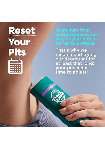 Of Maıne Yabani Lavanta Deodorant fırsatları