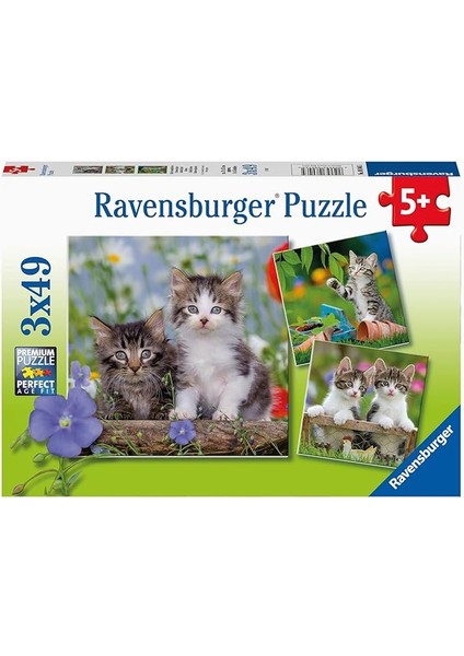 - 3 x 49 Parça Puzzle Tiger Babies (80465)