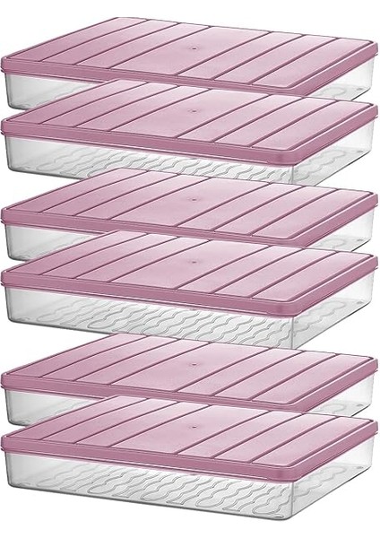 Home - Nora 6'lı 2.5 Litre Büyük Boy Ekru Saklama Kabı indirimleri