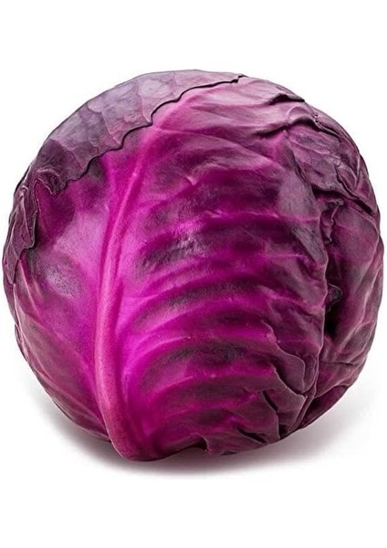 Organik Kırmızı Lahana Tohumu 1 Paket (10GR=2000+ Adet) Kırmızı Lahana Mohrenkohf Tohumu