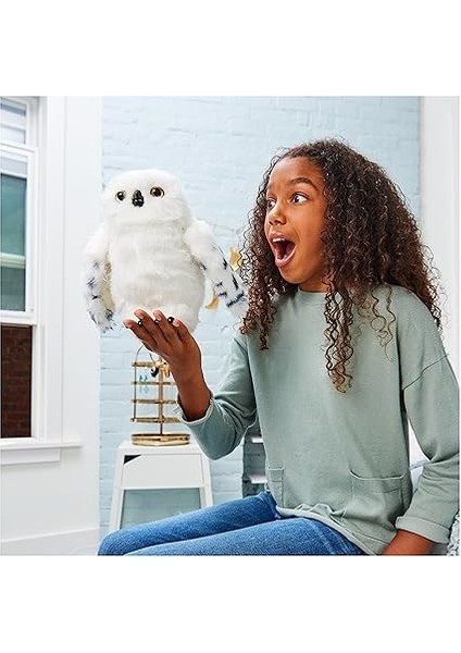 World Interaktif Hedwig modelleri