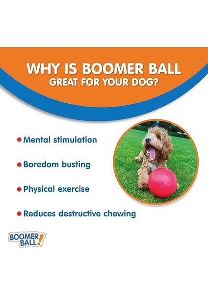 Köpek Için Sert Oyun Topu 20 cm modelleri