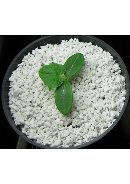 Perlit Tarım Perliti 80 Lt Köklendirme Steril Perlit indirimleri