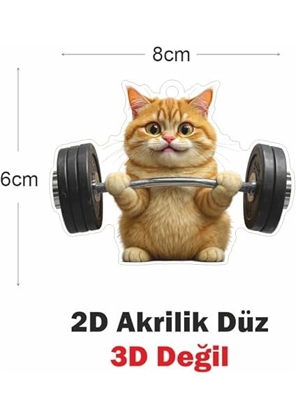 Ayna Süsü Halterci Kedi, Pleksi Malzeme, Uv Baskılı 001 modelleri